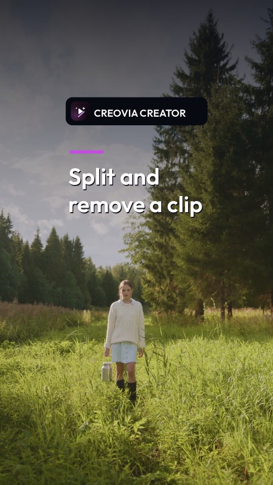 Forest video timeline used to demonstrate splitting and deleting a section